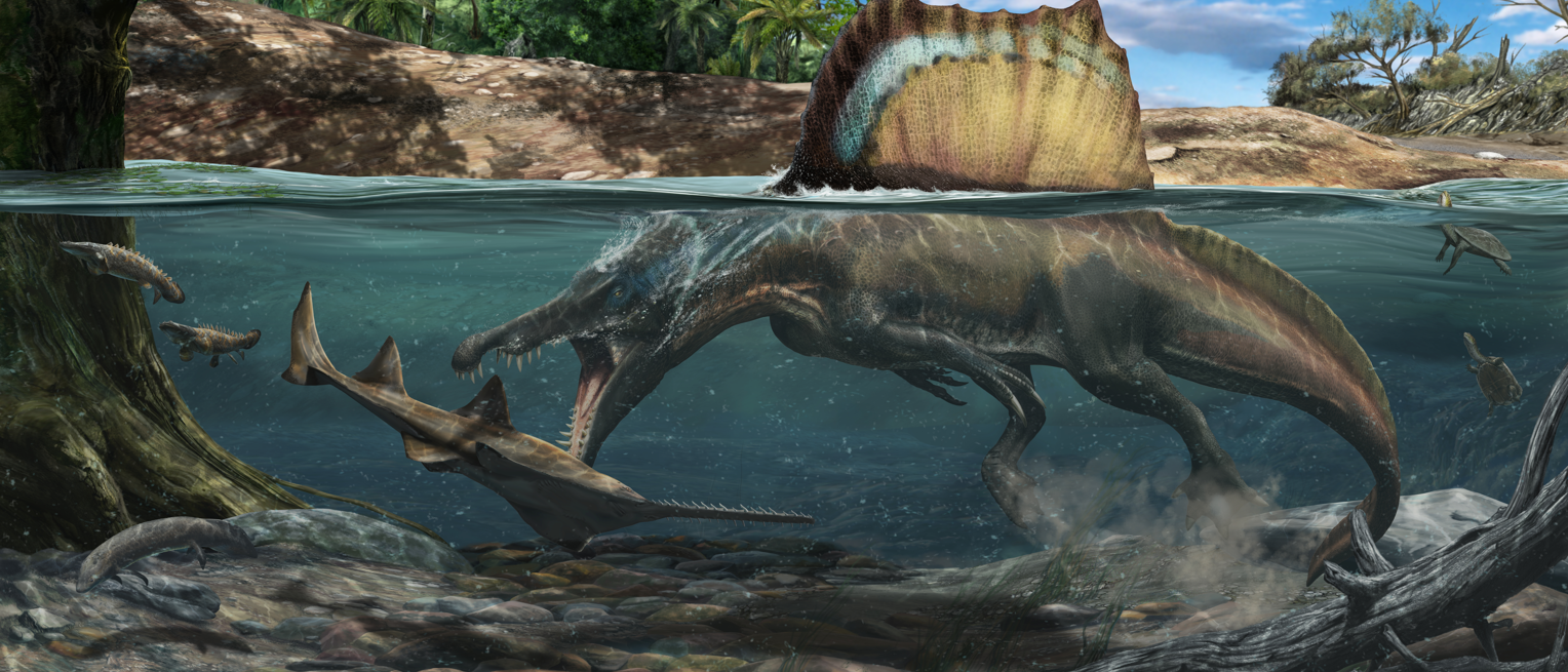 Spinosaurus bei der Jagd