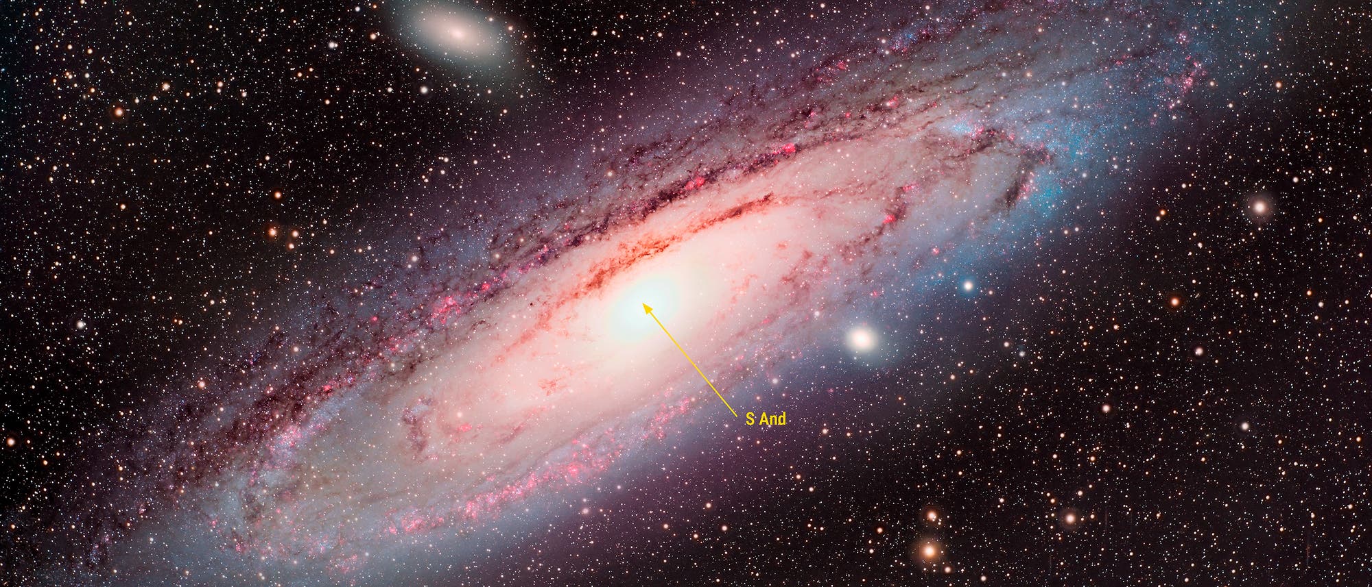 Eine detaillierte Aufnahme einer Spiralgalaxie im Weltraum, umgeben von zahlreichen leuchtenden Sternen. Die Galaxie zeigt eine helle, zentrale Region mit spiralförmigen Armen, die von dunklen Staubstreifen durchzogen sind. Der Hintergrund ist mit vielen kleinen, funkelnden Sternen übersät, die die Weite des Universums verdeutlichen.