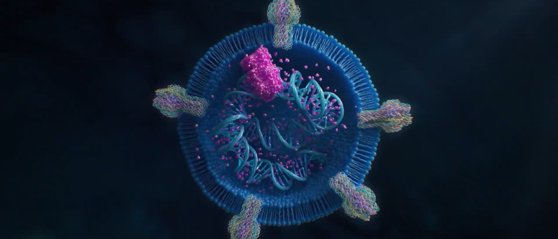 3D-Darstellung einer synthetischen Zelle. Die Abbildung zeigt eine kugelf&ouml;rmige Struktur mit einer blauen Lipidmembran, in die mehrere Rezeptormolek&uuml;le eingebettet sind. Im Inneren sind blaue RNA-Str&auml;nge zu sehen. Die Szene ist dunkel gehalten, um die Details der Struktur hervorzuheben.