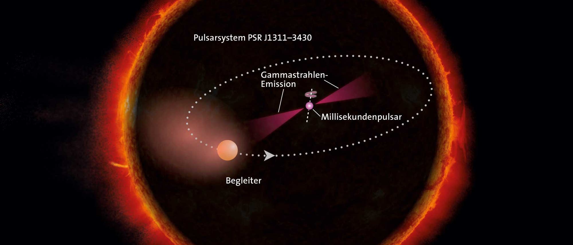 Der Millisekundenpulsar im außergewöhnlichen Pulsarsystem Psr J1311-3430 