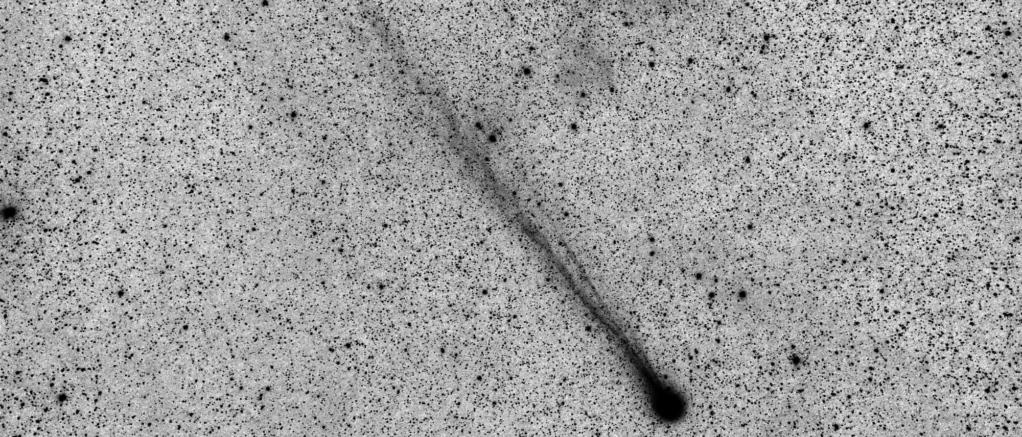 Aufnahme des Kometen Lovejoy