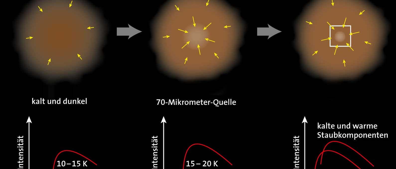 Sternentstehung: Von der interstellaren Materie zum Protostern