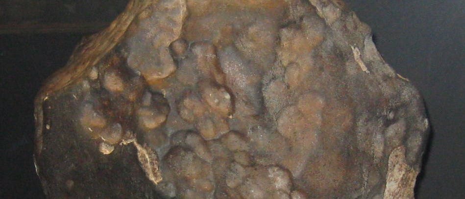 Tenham-Meteorit