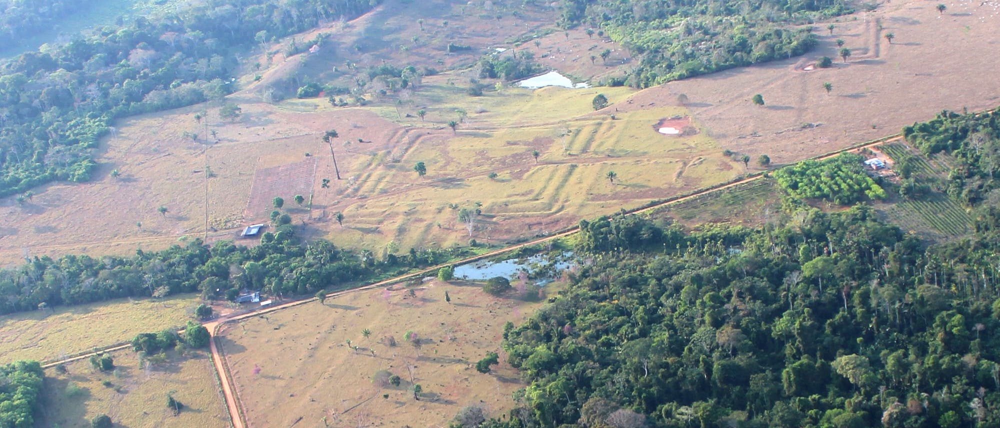 Luftaufnahme einer Landschaft mit einer Mischung aus Wald und gerodeten Flächen. Im Vordergrund sind dichte Baumgruppen zu sehen, während im Hintergrund landwirtschaftlich genutzte Felder und vereinzelte Gebäude sichtbar sind. Ein Weg verläuft diagonal durch das Bild, und ein kleiner Teich ist in der Nähe des Waldrandes zu erkennen. Die Szene zeigt den Kontrast zwischen natürlicher Vegetation und menschlicher Landnutzung. Luftaufnahme einer Landschaft mit einer Mischung aus Wald und gerodeten Flächen. Im Vordergrund sind dichte Baumgruppen zu sehen, während im Hintergrund landwirtschaftlich genutzte Felder und vereinzelte Gebäude sichtbar sind. Ein Weg verläuft diagonal durch das Bild, und ein kleiner Teich ist in der Nähe des Waldrandes zu erkennen. Die Szene zeigt den Kontrast zwischen natürlicher Vegetation und menschlicher Landnutzung.