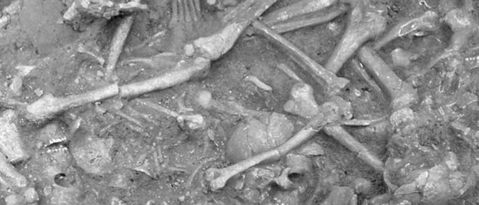Skelettreste von 34 ermordeten Menschen