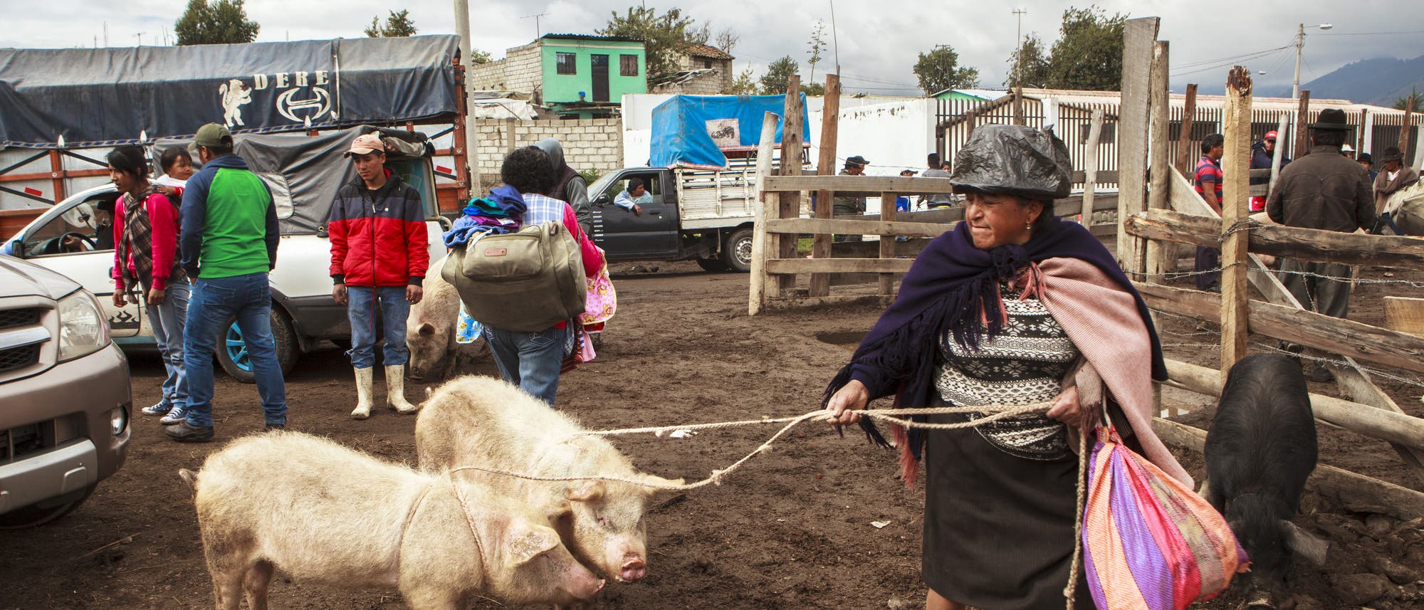 Tiermarkt in Ecuador
