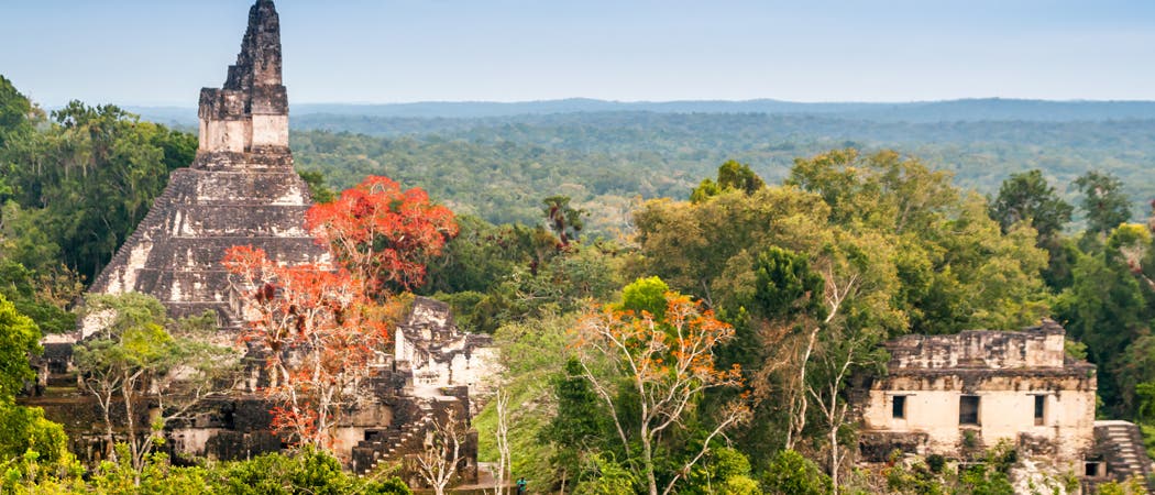 Tikal im Regenwald Guatemalas
