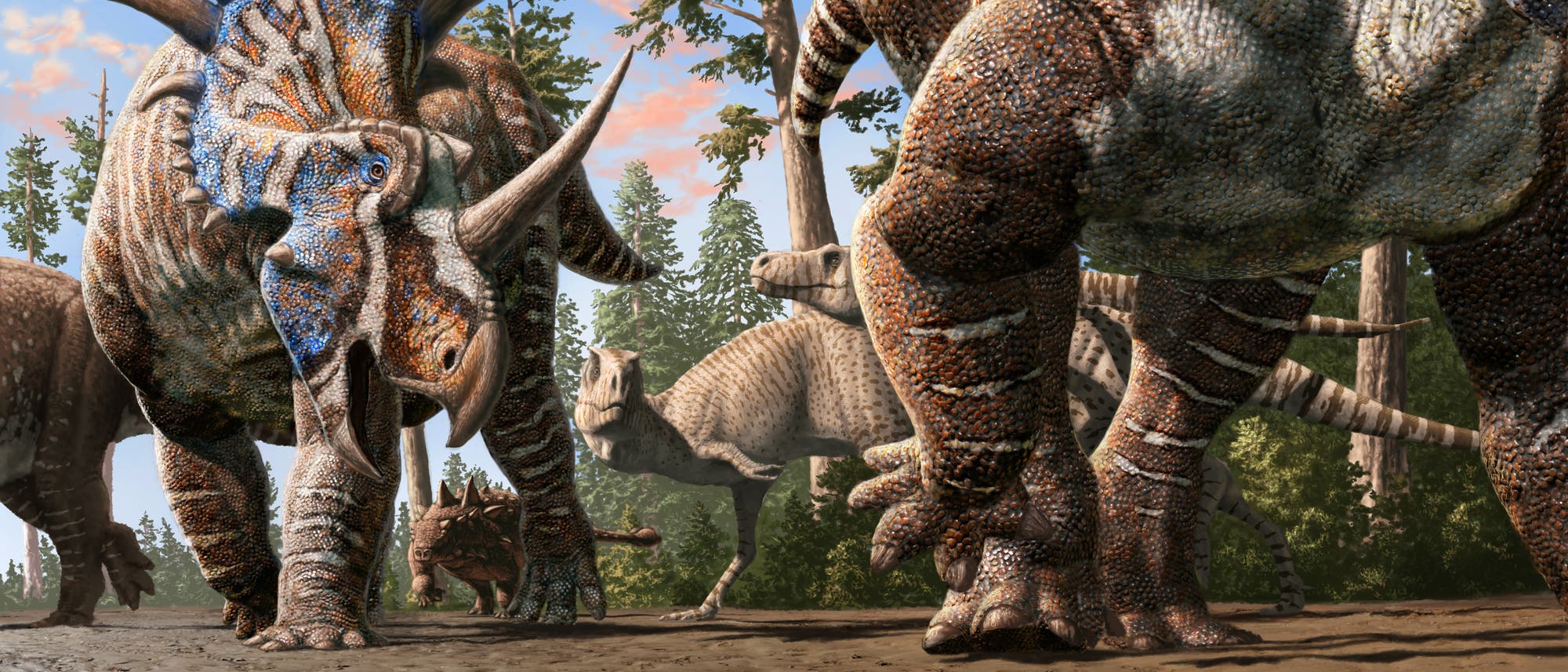 Eine künstlerische Darstellung einer Gruppe von Dinosauriern in einer prähistorischen Waldlandschaft. Im Vordergrund ist ein großer Dinosaurier mit einem auffälligen, bunten Kopf und mehreren Hörnern zu sehen. Weitere Dinosaurier unterschiedlicher Arten sind im Hintergrund zu erkennen, umgeben von hohen Bäumen und einem klaren Himmel. Die Szene vermittelt eine lebendige und dynamische Atmosphäre der Urzeit.