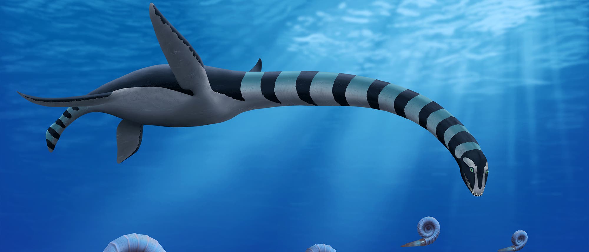Ein prähistorisches Meeresreptil mit einem langen Hals und schwarz-blauen Streifen schwimmt in klarem, blauem Wasser. Sonnenstrahlen durchdringen die Wasseroberfläche und erzeugen ein leuchtendes Muster. Ein prähistorisches Meeresreptil mit einem langen Hals und schwarz-blauen Streifen schwimmt in klarem, blauem Wasser. Sonnenstrahlen durchdringen die Wasseroberfläche und erzeugen ein leuchtendes Muster.