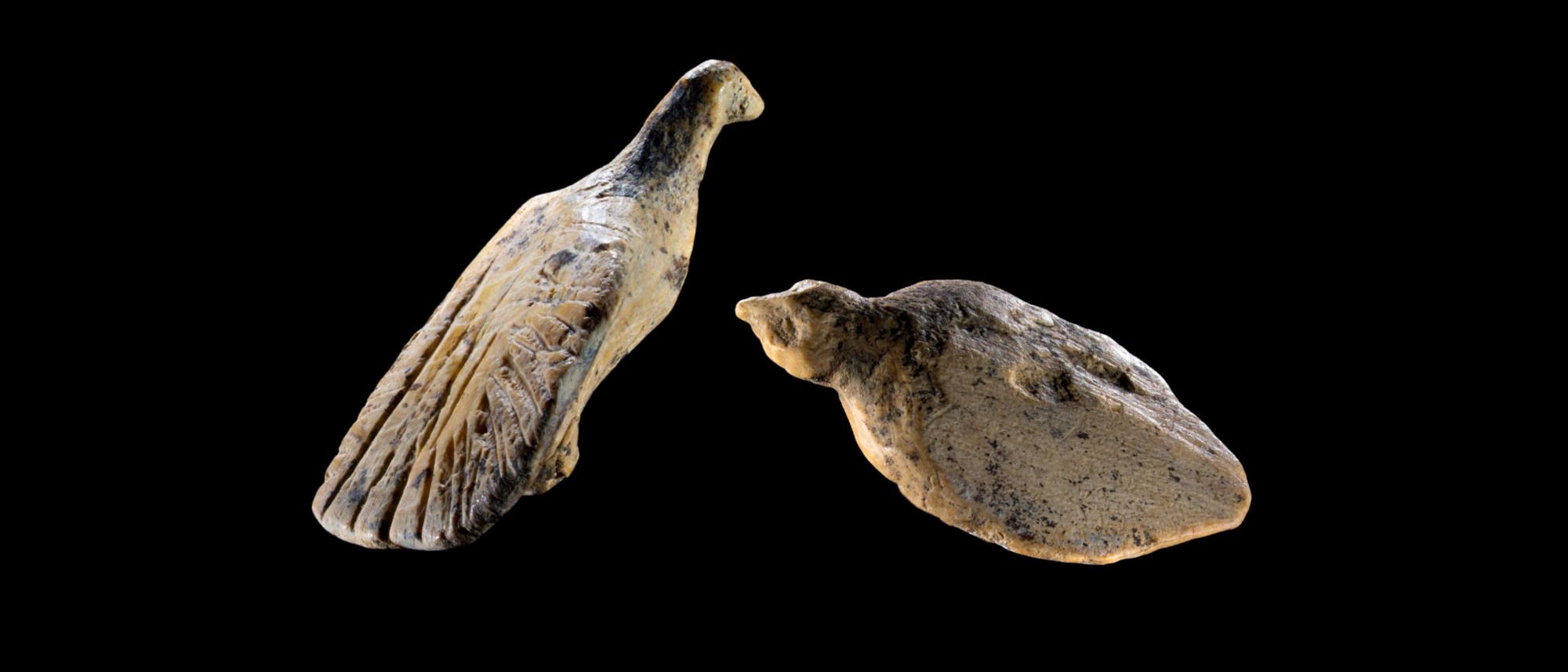 Zwei geschnitzte Tierfiguren aus Elfenbein auf schwarzem Hintergrund. Links ist eine Figur mit langen, eingravierten Linien, die an Flügel erinnern, während rechts eine kompaktere Figur mit abgerundeten Formen zu sehen ist. Beide Objekte scheinen sehr alt und handgefertigt zu sein. Zwei geschnitzte Tierfiguren aus Elfenbein auf schwarzem Hintergrund. Links ist eine Figur mit langen, eingravierten Linien, die an Flügel erinnern, während rechts eine kompaktere Figur mit abgerundeten Formen zu sehen ist. Beide Objekte scheinen sehr alt und handgefertigt zu sein.
