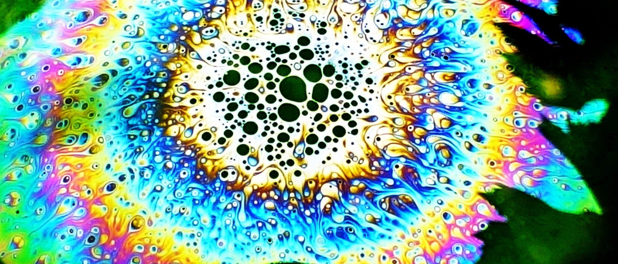 Auf einer Seifenblase zeigen sich inmitten der farbigen Interferenzringe runde, dunkle Bereiche 