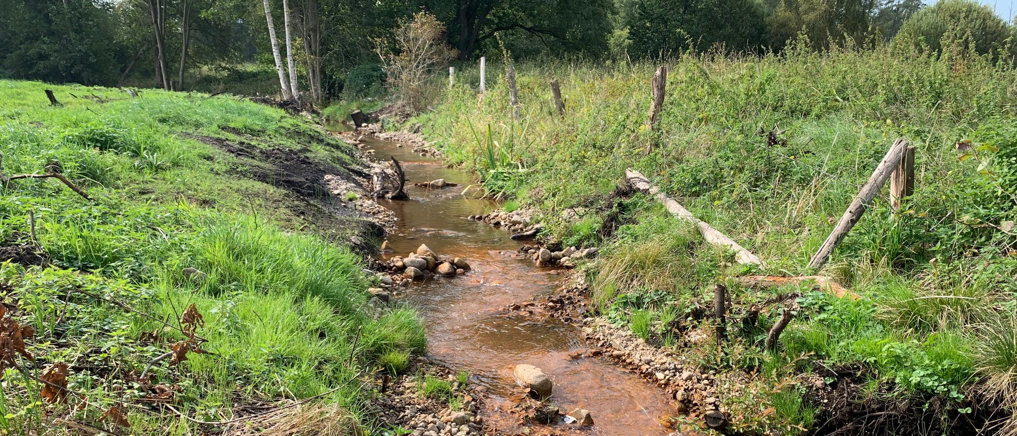 Ein schmaler, natürlicher Bach fließt durch eine grüne, bewachsene Landschaft. Auf beiden Seiten des Bachs sind unregelmäßig platzierte Holzpfähle zu sehen, die möglicherweise als Zaun dienen. Die Ufer sind mit Gras und verschiedenen Pflanzen bewachsen. Im Hintergrund stehen hohe Bäume, die einen Wald andeuten. Der Himmel ist nicht sichtbar, aber das Licht deutet auf einen sonnigen Tag hin.