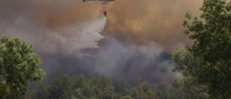Waldbrandbekämpfung in Südfrankreich