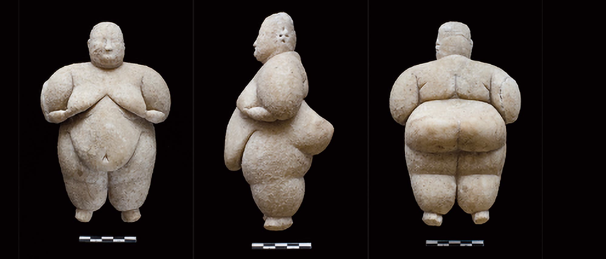 Dreifache Ansicht einer prähistorischen »Venusfigurine« aus Stein, die eine füllige weibliche Form darstellt. Die Figur ist aus drei Perspektiven zu sehen: vorne, seitlich und hinten. Jede Ansicht zeigt die detaillierte Gestaltung der Figur, einschließlich der betonten Rundungen und der schlichten Gesichtszüge. Unter jeder Ansicht befindet sich eine Maßstabsleiste. Die Figur steht vor einem schwarzen Hintergrund. Dreifache Ansicht einer prähistorischen »Venusfigurine« aus Stein, die eine füllige weibliche Form darstellt. Die Figur ist aus drei Perspektiven zu sehen: vorne, seitlich und hinten. Jede Ansicht zeigt die detaillierte Gestaltung der Figur, einschließlich der betonten Rundungen und der schlichten Gesichtszüge. Unter jeder Ansicht befindet sich eine Maßstabsleiste. Die Figur steht vor einem schwarzen Hintergrund.