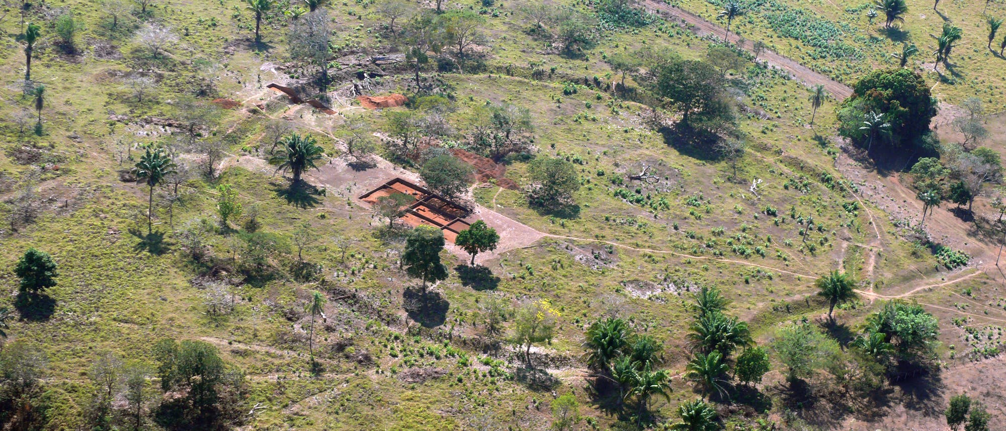 Kreisgrabenanlage im ehemaligen Regenwald