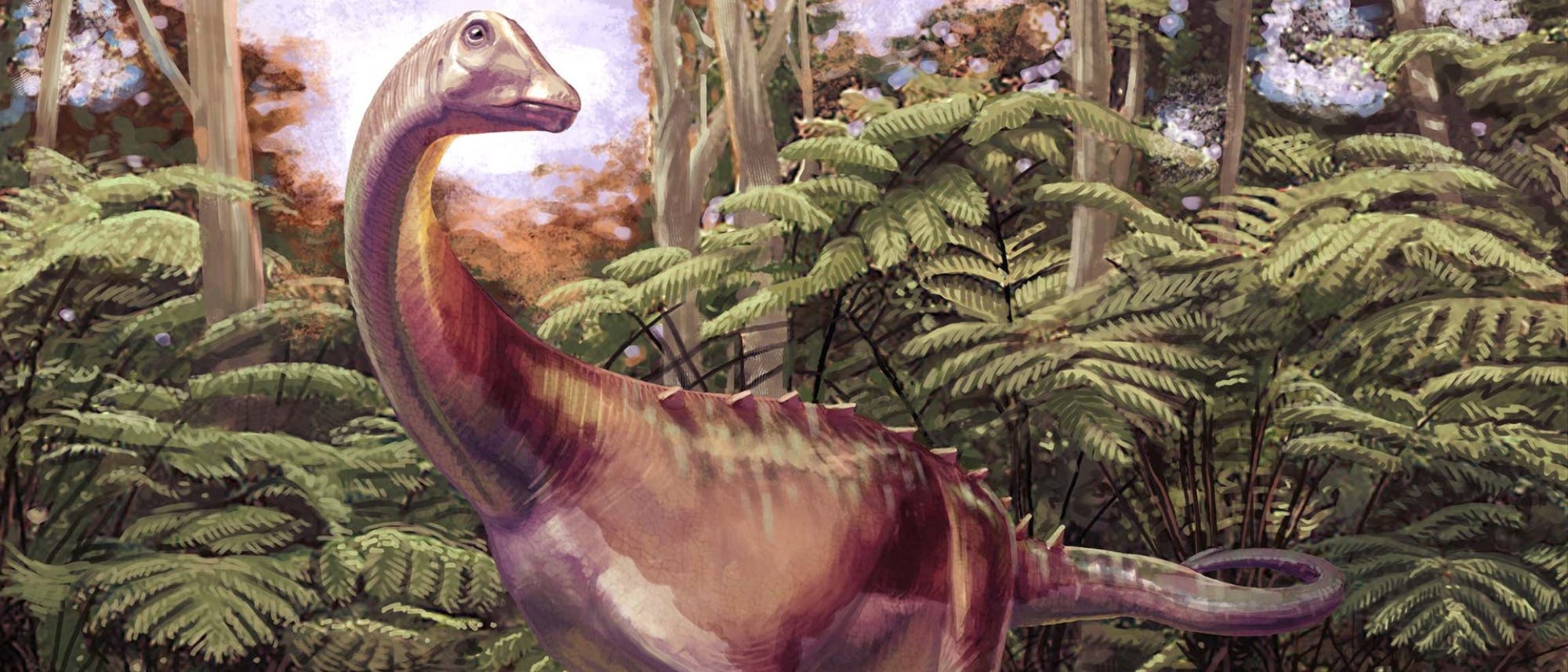 Eine k&uuml;nstlerische Darstellung eines Dinosauriers in einem &uuml;ppigen, gr&uuml;nen Wald. Der Dinosaurier hat einen langen Hals und einen kr&auml;ftigen K&ouml;rper, umgeben von hohen B&auml;umen und Farnen. Die Szene vermittelt eine pr&auml;historische Atmosph&auml;re mit nat&uuml;rlicher Vegetation im Hintergrund.