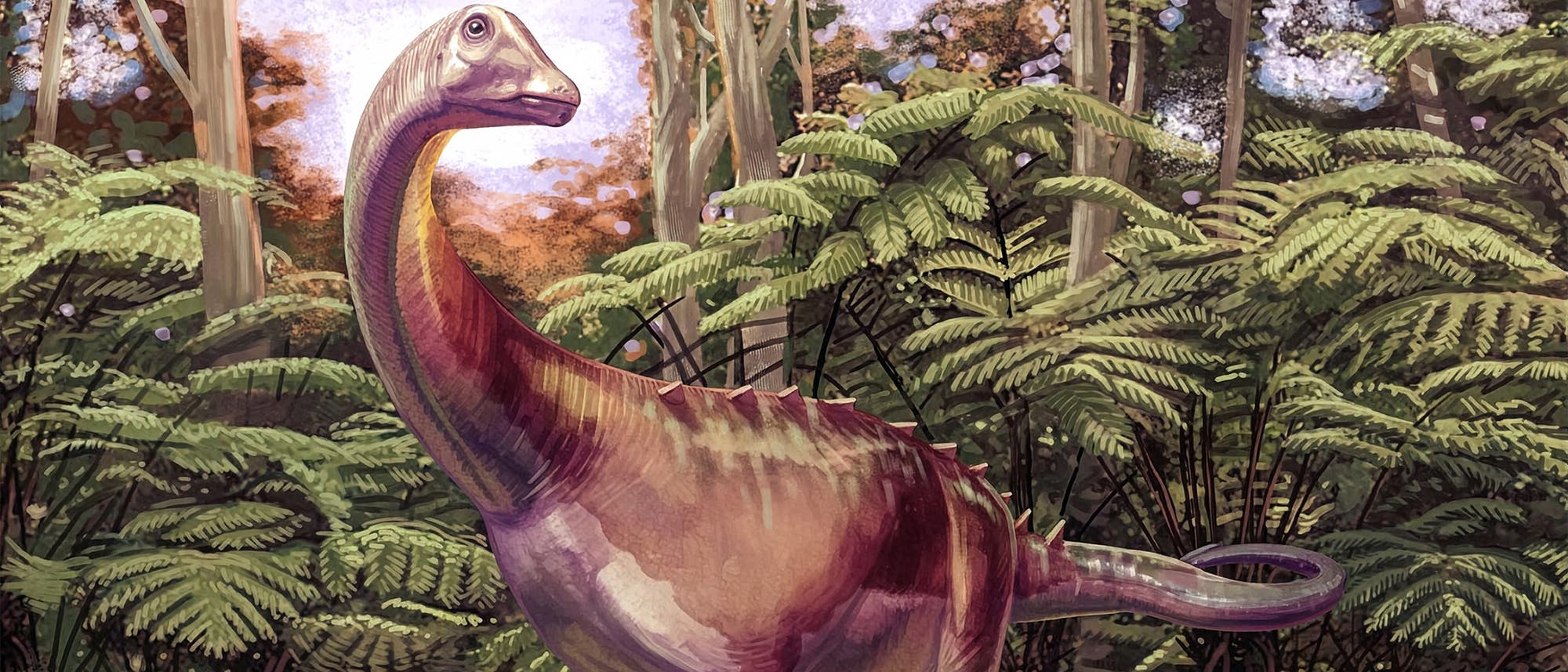 Eine k&uuml;nstlerische Darstellung eines Dinosauriers in einem &uuml;ppigen, gr&uuml;nen Wald. Der Dinosaurier hat einen langen Hals und einen kr&auml;ftigen K&ouml;rper, umgeben von hohen B&auml;umen und Farnen. Die Szene vermittelt eine pr&auml;historische Atmosph&auml;re mit nat&uuml;rlicher Vegetation im Hintergrund.
