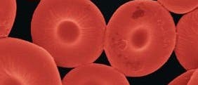 Künstliche Blutkörperchen