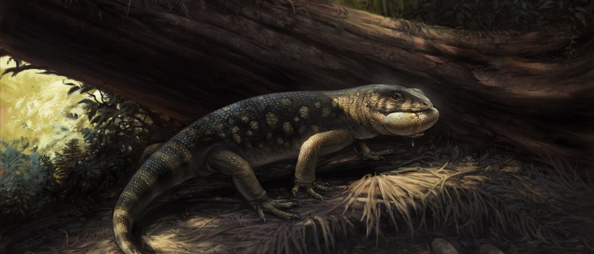 Ein prähistorisches Reptil mit einem kräftigen Körper und einem Ei im Maul steht auf einem Waldboden, umgeben von Eiern. Im Hintergrund sind große Bäume und dichtes Laub zu sehen, durch das Sonnenlicht fällt. Die Szene vermittelt eine urzeitliche Atmosphäre. Ein prähistorisches Reptil mit einem kräftigen Körper und einem Ei im Maul steht auf einem Waldboden, umgeben von Eiern. Im Hintergrund sind große Bäume und dichtes Laub zu sehen, durch das Sonnenlicht fällt. Die Szene vermittelt eine urzeitliche Atmosphäre.