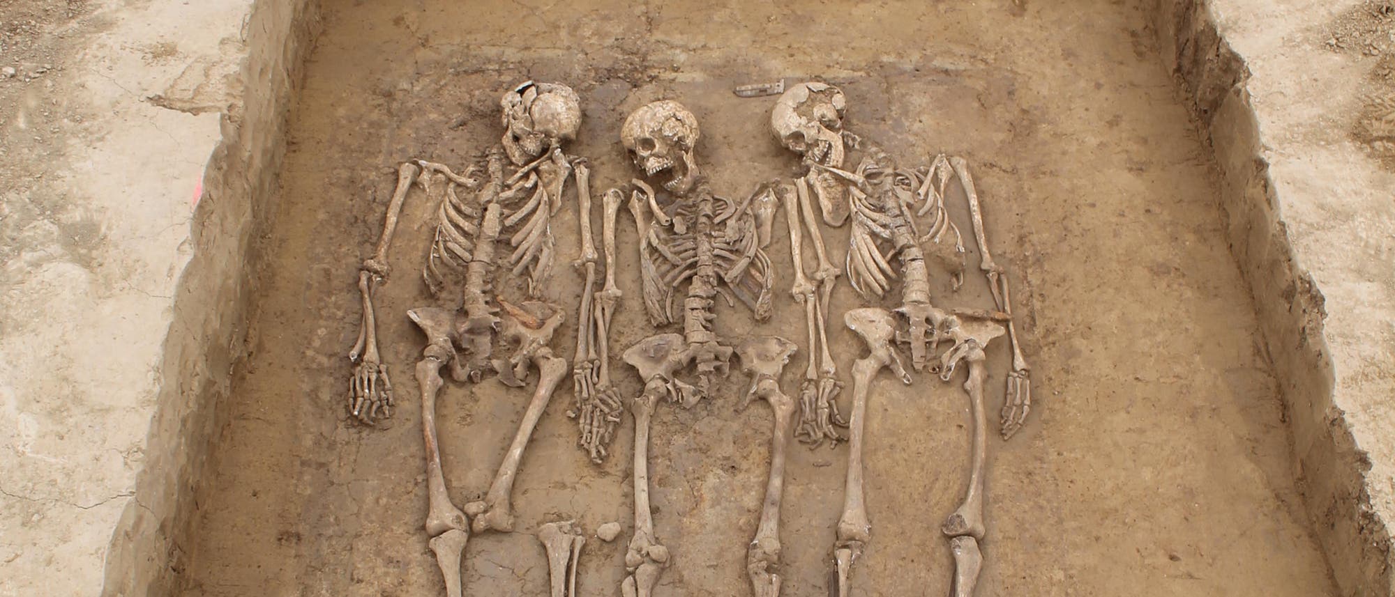 Drei menschliche Skelette liegen nebeneinander in einer arch&auml;ologischen Ausgrabungsst&auml;tte. Die Skelette sind vollst&auml;ndig erhalten und in einem rechteckigen Erdgrab freigelegt. Der Boden um die Skelette herum ist aus festem, hellbraunem Erdreich. Die Szene vermittelt einen Eindruck von arch&auml;ologischer Forschung und historischen Entdeckungen.