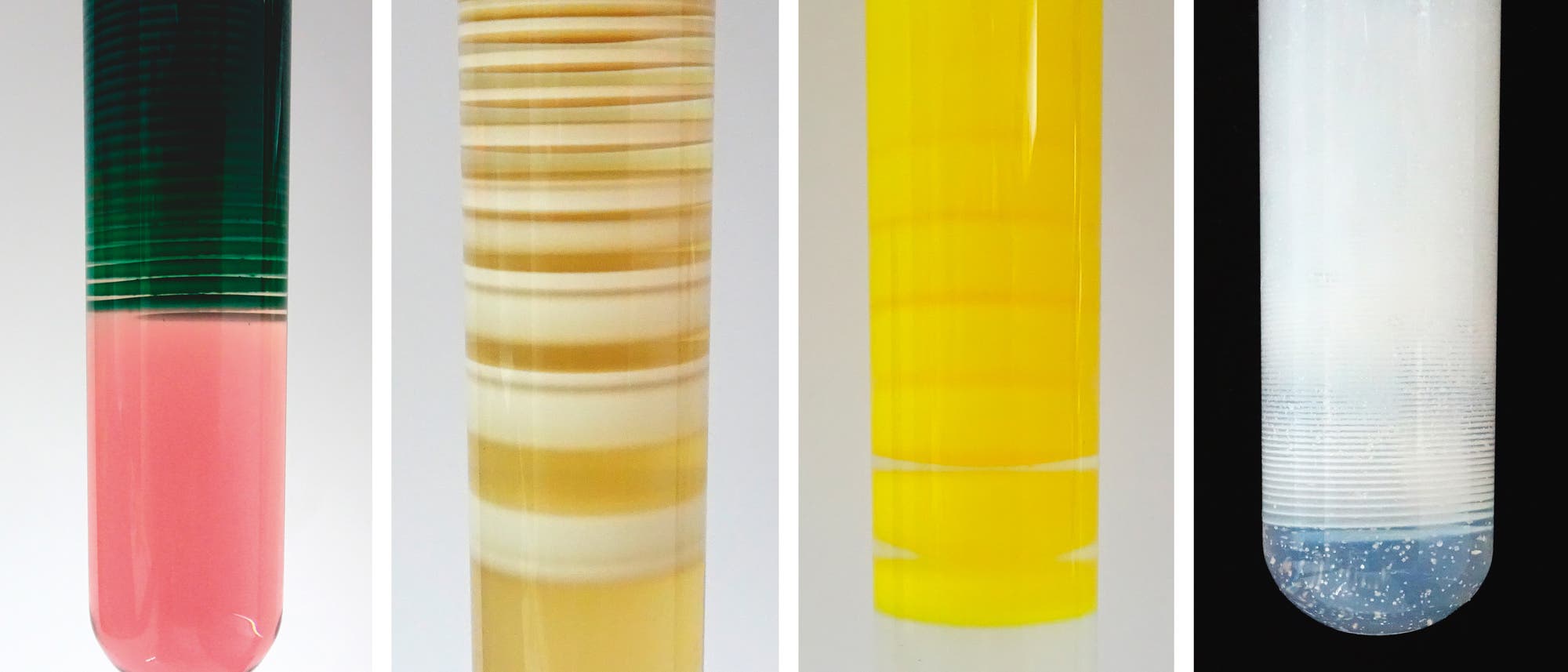 Hübsche Liesegang-Bänder lassen sich auch mit anderen Reagenzien erzeugen. In den hier gezeigten Beispielen bestehen sie aus Cobalthydroxid, Manganhydroxid, Bleiiodid und Bleihydroxid (von links nach rechts).