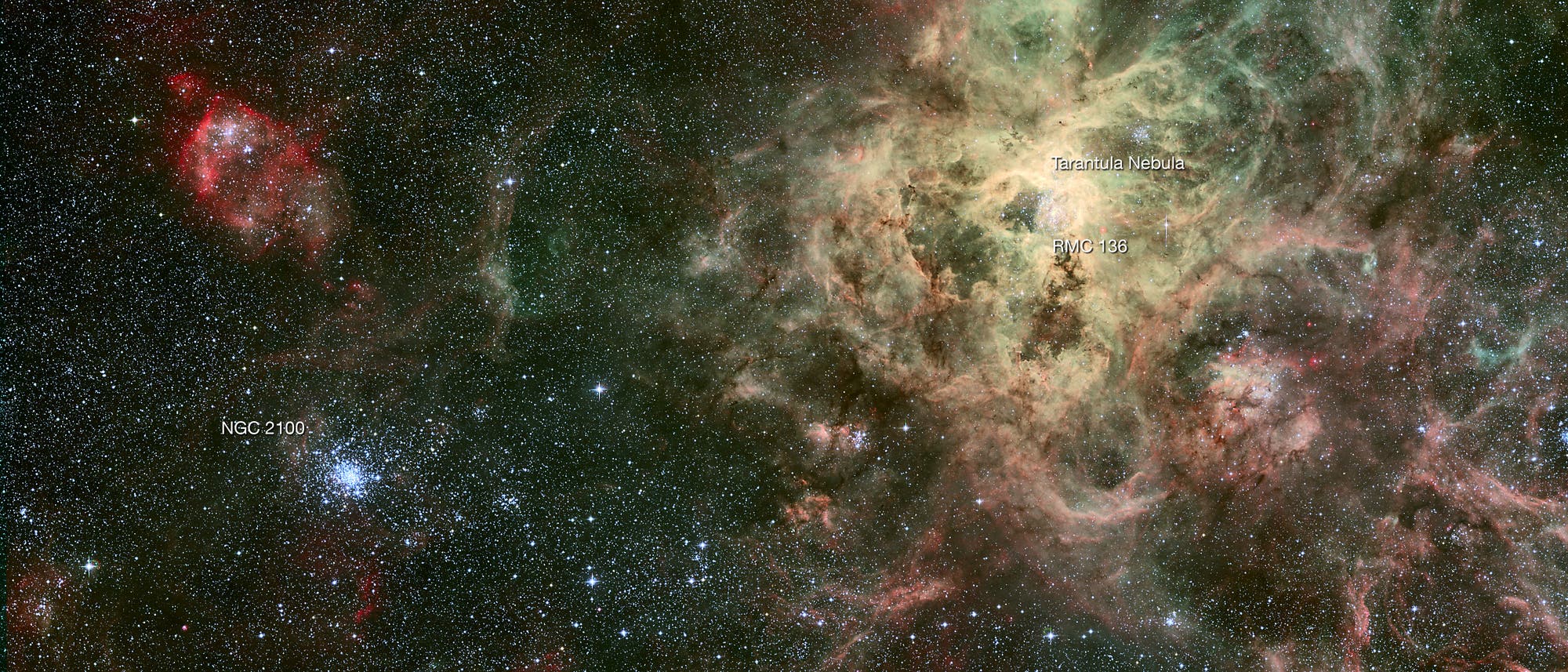 NGC 2100 neben dem Tarantelnebel