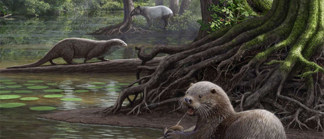 Wolfgroßer Otter in prähistorischer Sumpflandschaft