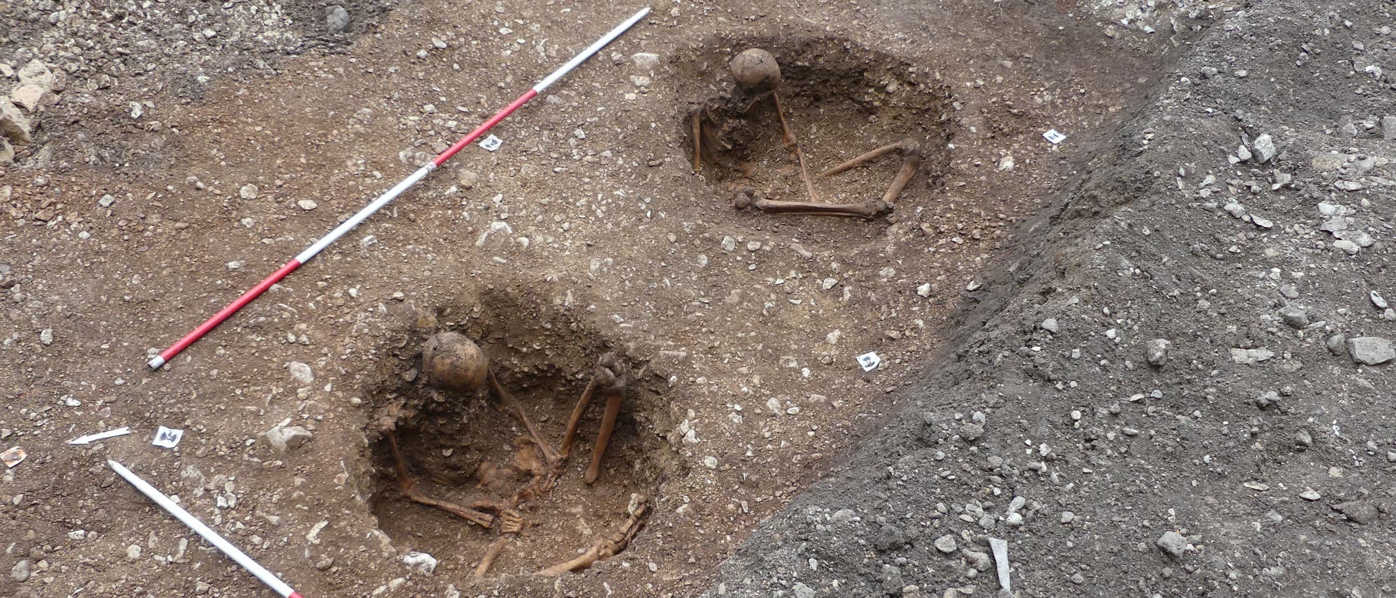 Zwei freigelegte menschliche Skelette in runden Gräbern auf einer archäologischen Ausgrabungsstätte. Die Skelette sind in gebeugter Position, umgeben von Erde. Zwei Messstäbe liegen parallel zu den Gräbern, um die Größe zu verdeutlichen. Im Hintergrund ist eine Steinmauer sichtbar. Zwei freigelegte menschliche Skelette in runden Gräbern auf einer archäologischen Ausgrabungsstätte. Die Skelette sind in gebeugter Position, umgeben von Erde. Zwei Messstäbe liegen parallel zu den Gräbern, um die Größe zu verdeutlichen. Im Hintergrund ist eine Steinmauer sichtbar.