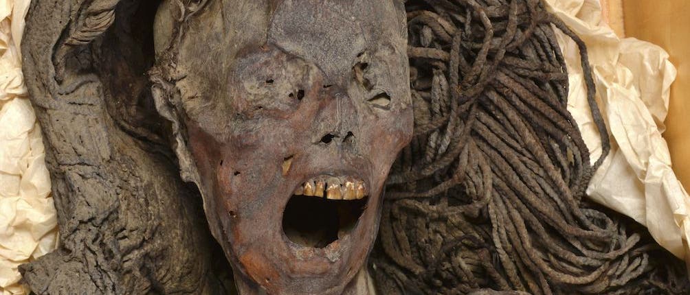 Kopf einer vor 3500 Jahren einbalsamierten toten Frau. Die Mumie besitzt lange Haare, die Haut ist braun, der Mund steht weit offen und man sieht die obere, gleblichbraune Zahnreihe. Sie liegt auf einer Art hellen Papier in einem Labor.