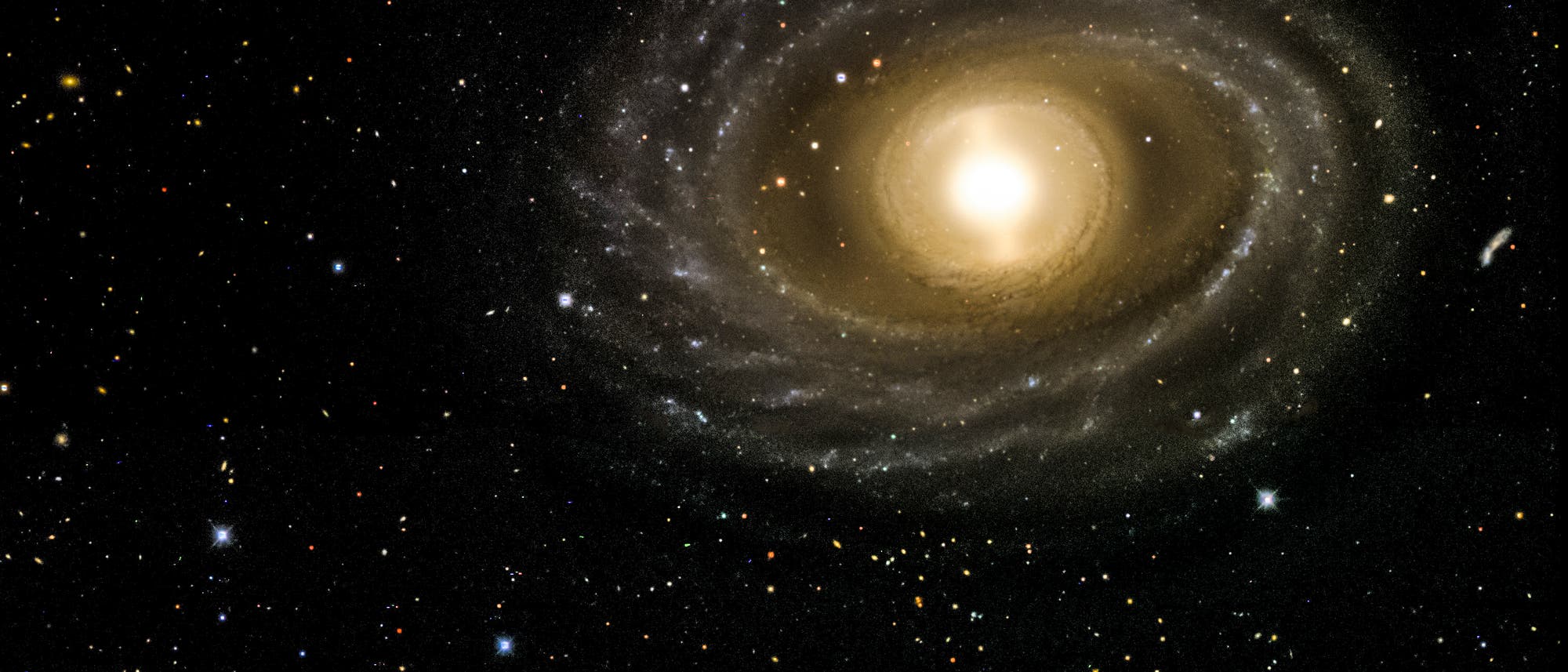 Die Galaxie NGC 1398