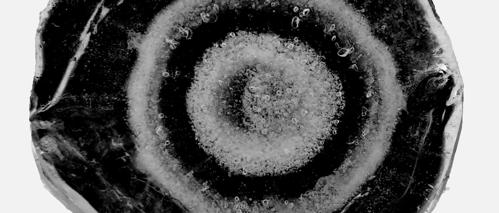Nahaufnahme eines Querschnitts eines kreisförmigen Hagelkorns mit schwarz-weißen, konzentrischen Ringen. In den hellen Ringen lassen sich eingeschlossene Luftbläschen erkennen, während die schwarzen Bereiche kompaktem, transparentem Eis entsprechen.