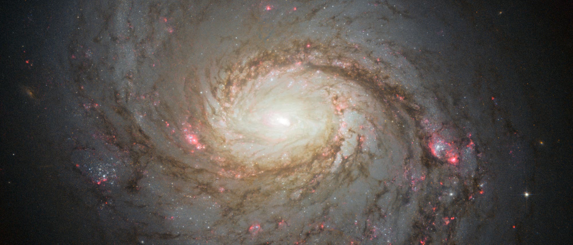 Seyfertgalaxie NGC 1068