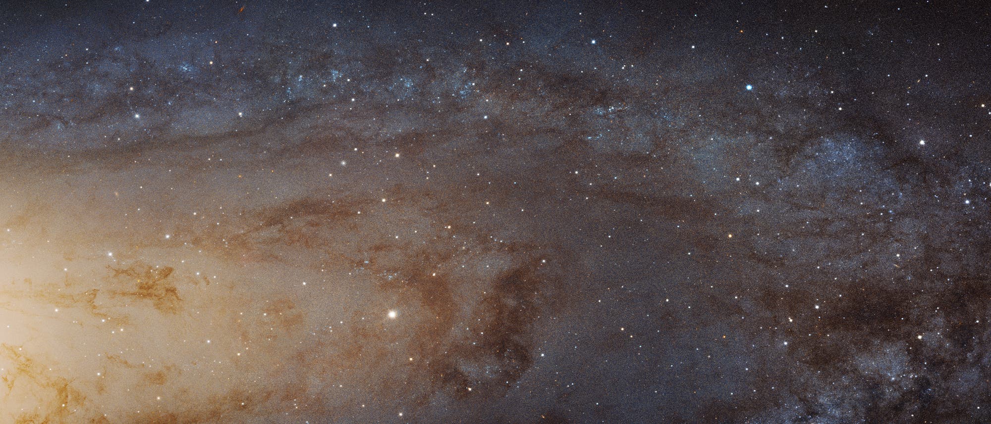 Dieser Ausschnitt der Andromedagalaxie wurde vom Hubble-Weltraumteleskop aufgenommen. Allerdings kann auch das Hubble-Weltraumteleskop nicht auf Exoplanetenjagd in unserer benachbarten Spiralgalaxie gehen. 