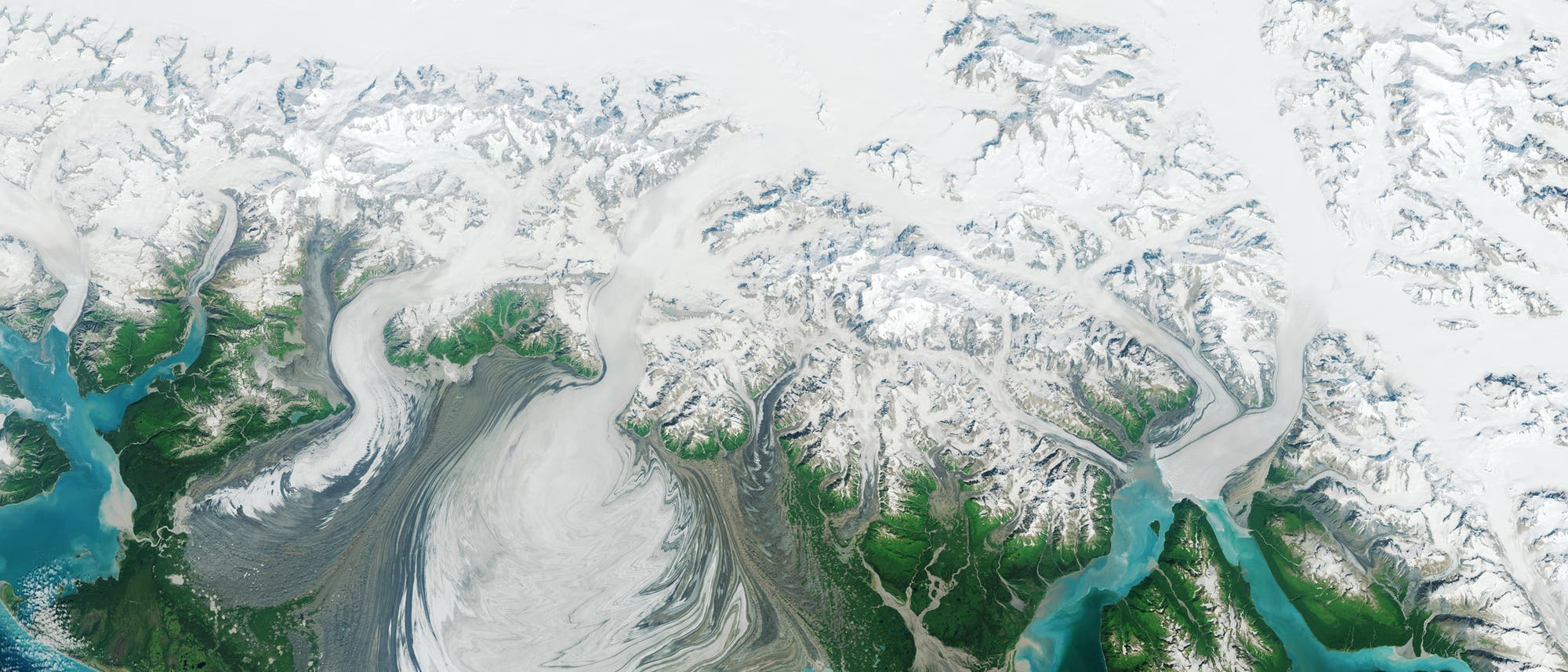 Der Hubbard Glacier (links mündet er im Meer) wächst seit 100 Jahren
