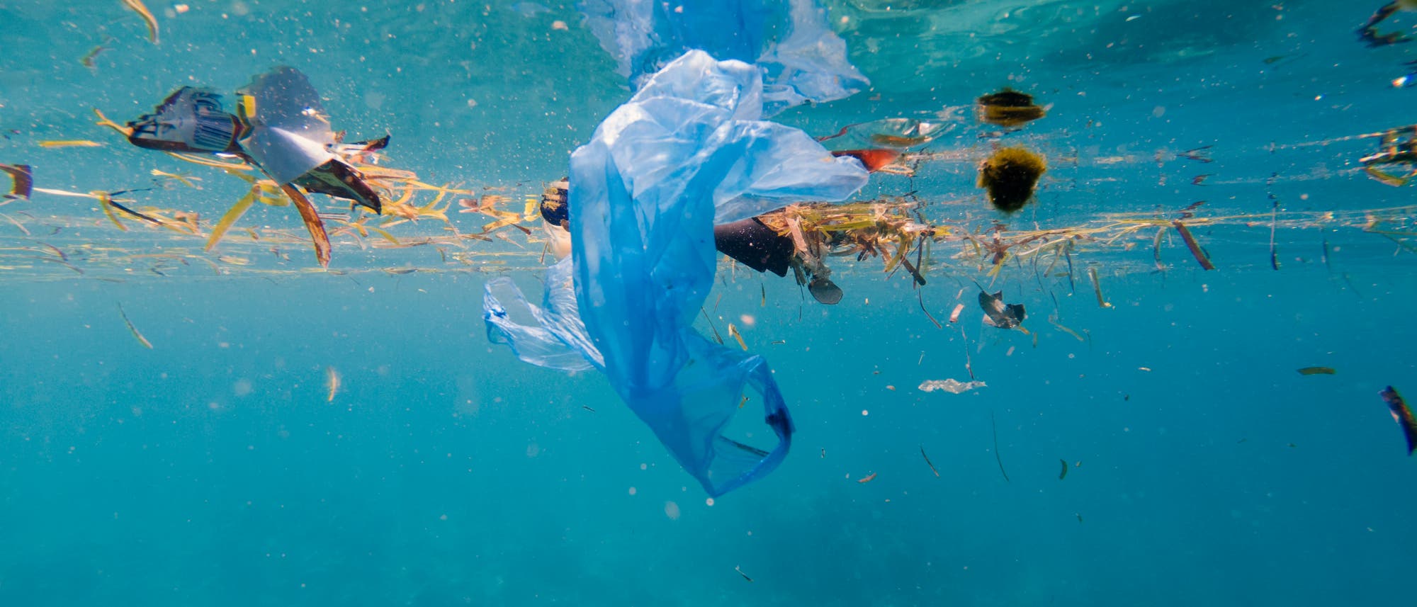 Plastikmüll treibt im Ozean umher