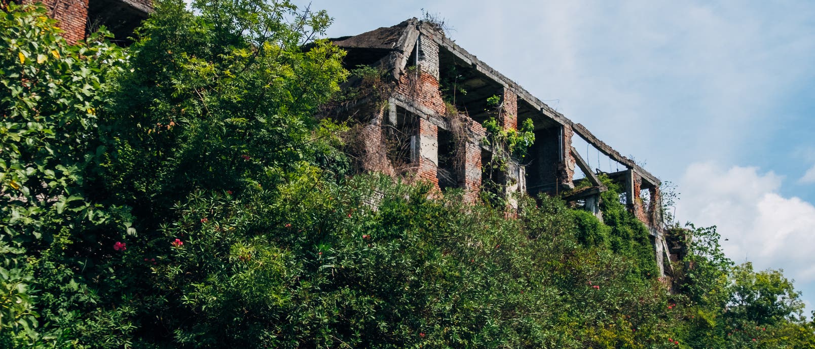 Überwucherte Ruine einer Schule in einer durch den Krieg zerstörten Bergarbeiterstadt in Abchasien