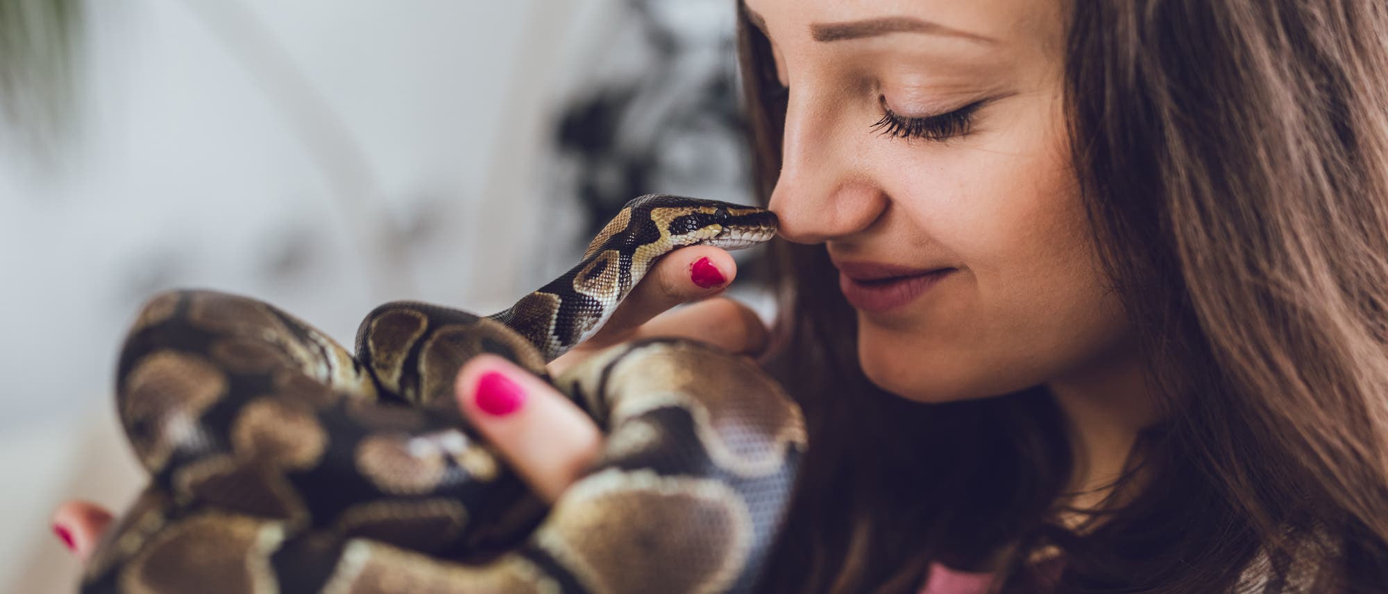 Eine junge Frau hält eine braun-schwarze Schlange und berührt mit ihrer Nasenspitze den Kopf des Tiers