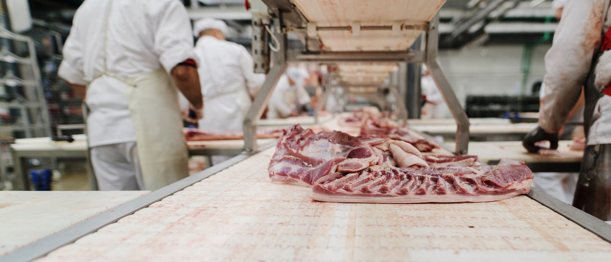 Rindfleisch wird auf einem Fließband zu Arbeitern transportiert.