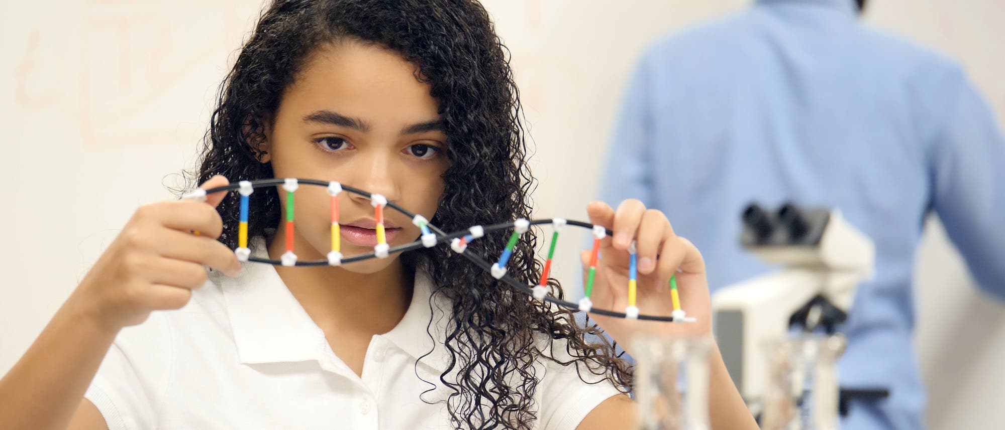 Schülerin studiert ein DNA-Modell