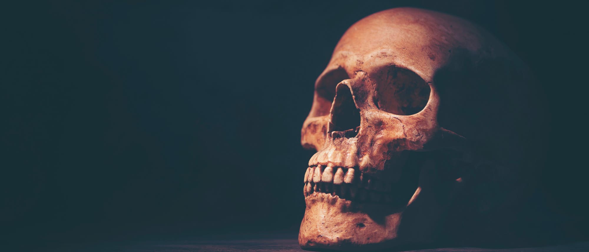 Ein menschlicher Sch&auml;del, der von der Seite beleuchtet wird, vor einem dunklen Hintergrund. Der Sch&auml;del zeigt deutliche Details der Knochenstruktur, einschlie&szlig;lich der Augenh&ouml;hlen und Z&auml;hne. Die Beleuchtung hebt die Textur und Form des Sch&auml;dels hervor und verleiht dem Bild eine dramatische Atmosph&auml;re.