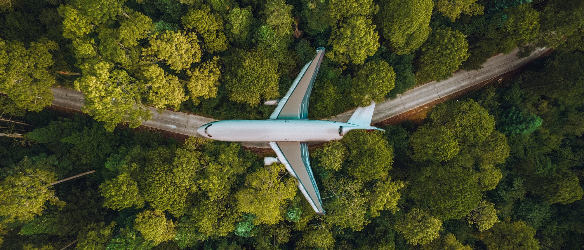 Flugzeug im Wald