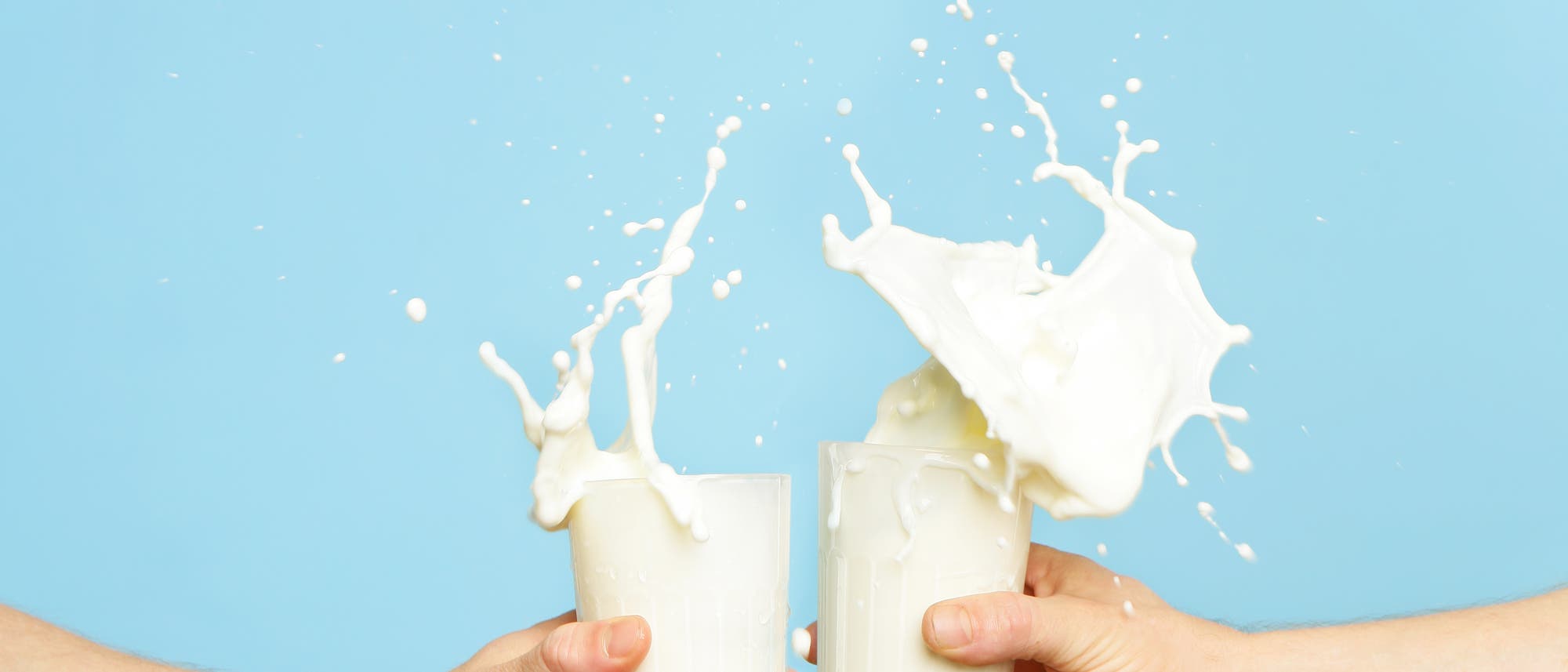 Zwei Milchgläser stoßen aneinander Zwei Milchgläser stoßen aneinander