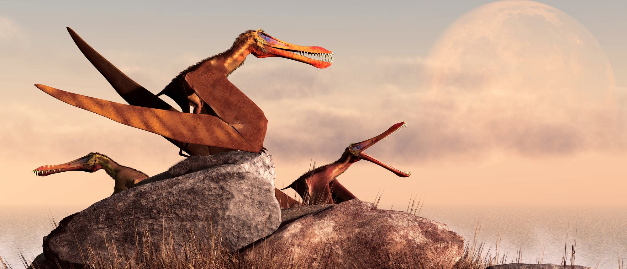 Anhanguera-Pterosaurier (Rekonstruktion)
