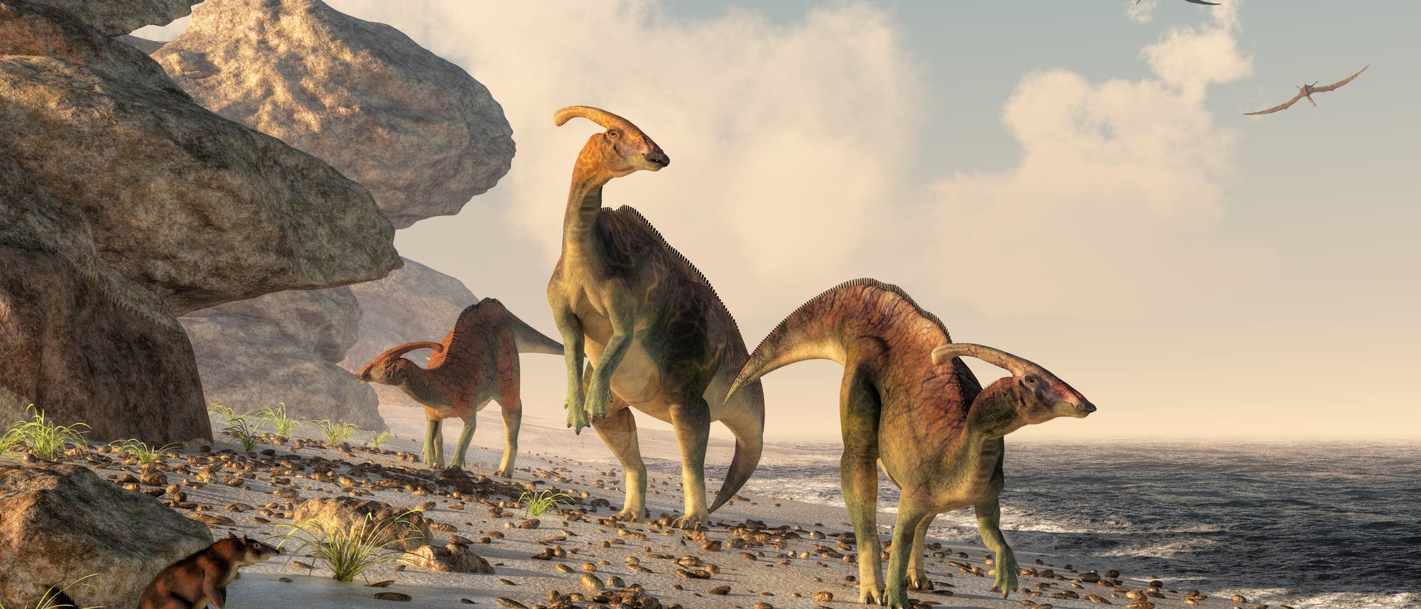 Drei Hadrosaurier flanieren am Strand. Die Abbildung ist eine künstlerische Darstellung, was streng genommen heißt, dass nahezu nichts daran stimmt.
