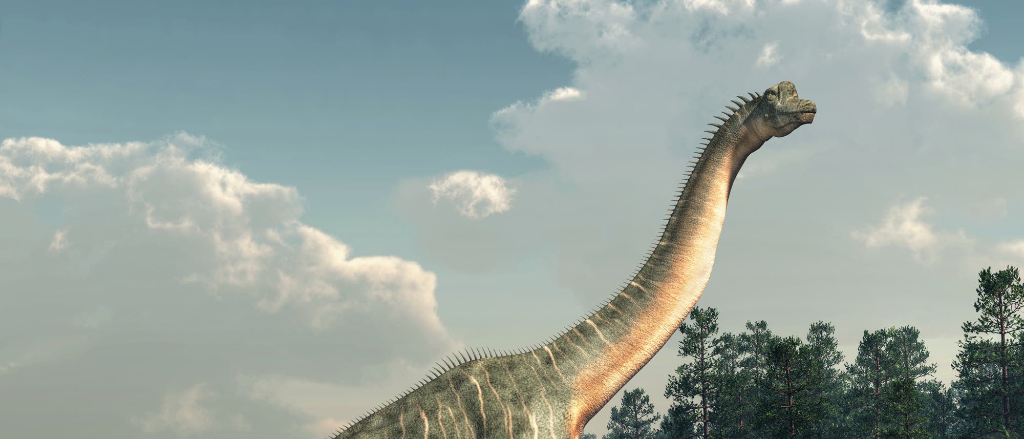 Ein rekonstruierter Sauropode 