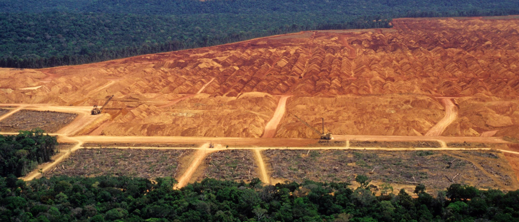 Flächenfraß und Entwaldung