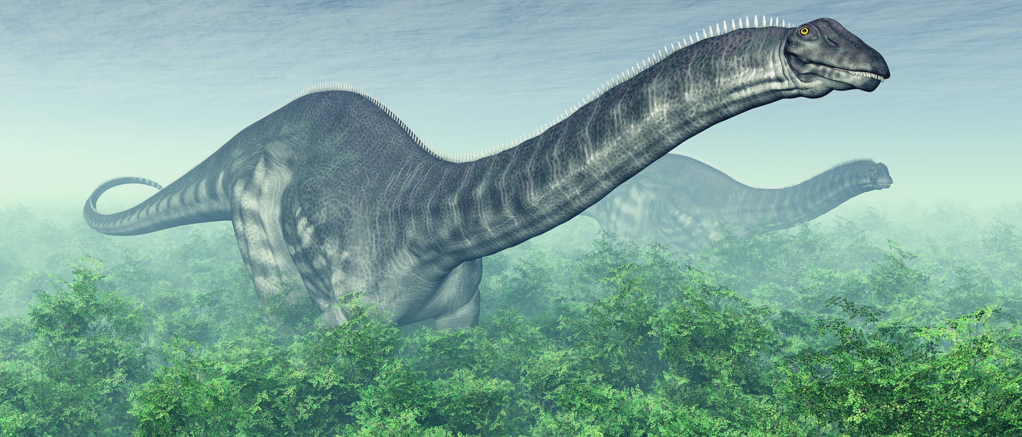 Brontosaurus (künstlerische Darstellung)