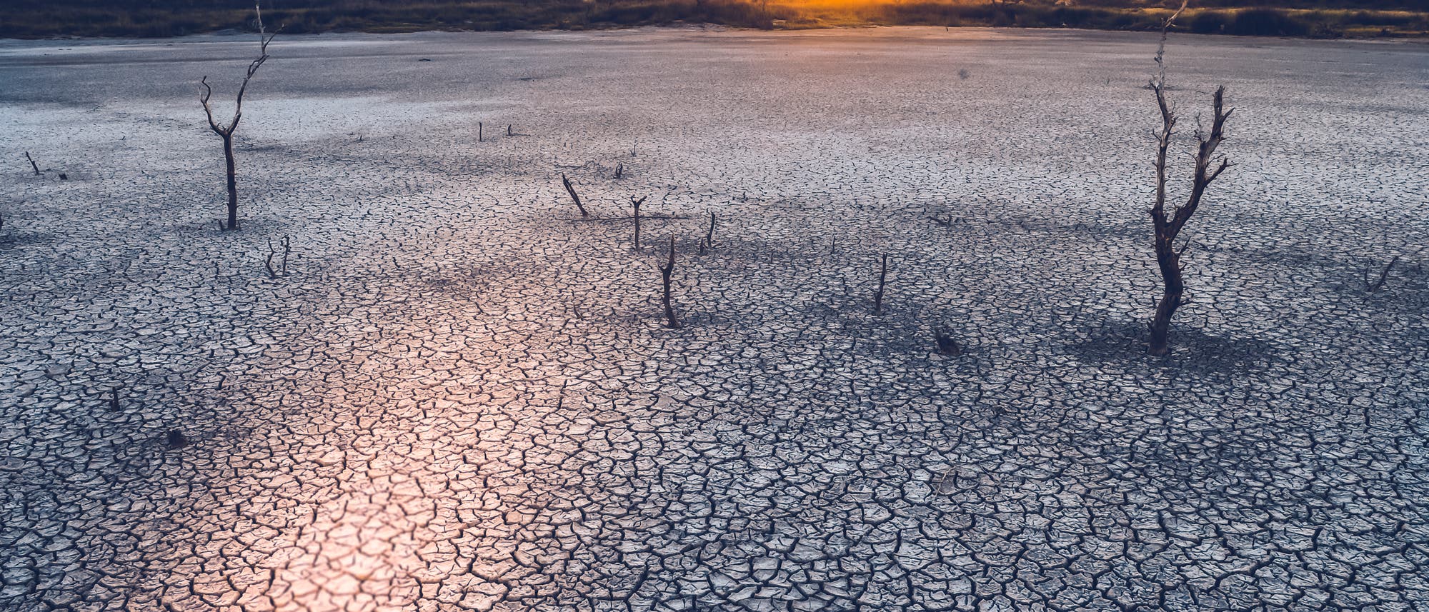 Dürre in der Pampa in Argentinien
