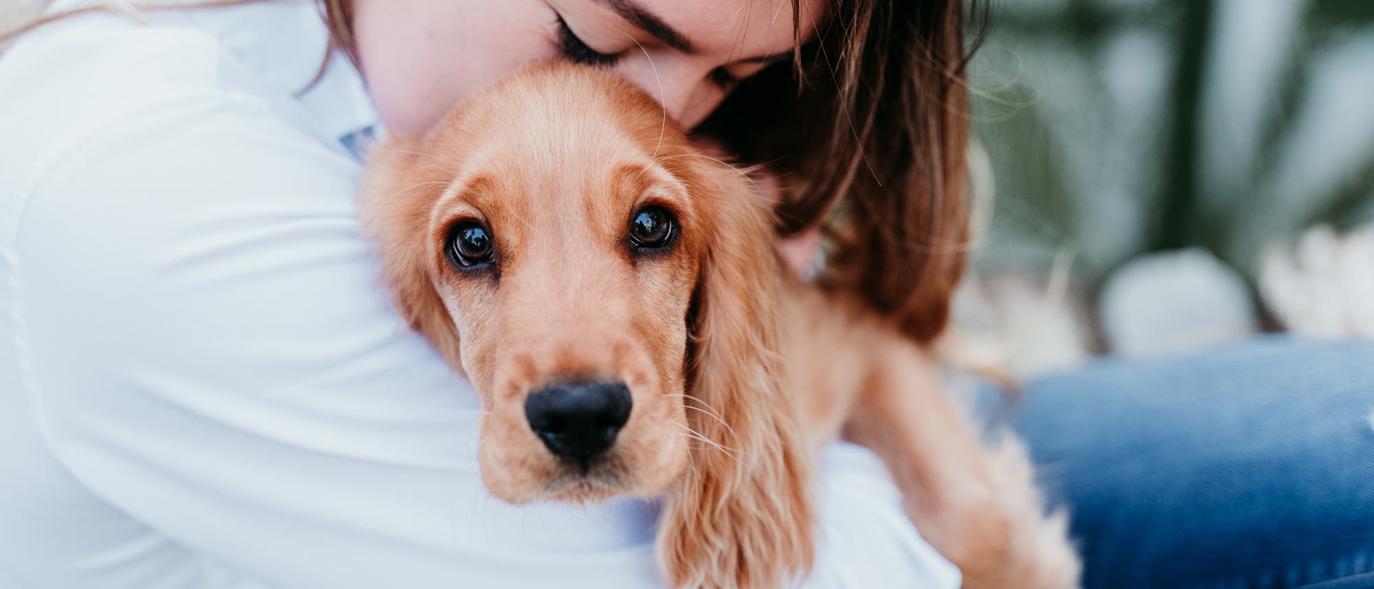 Mädchen vergräbt ihr Gesicht im Fell eines Cockerspaniel-Welpen