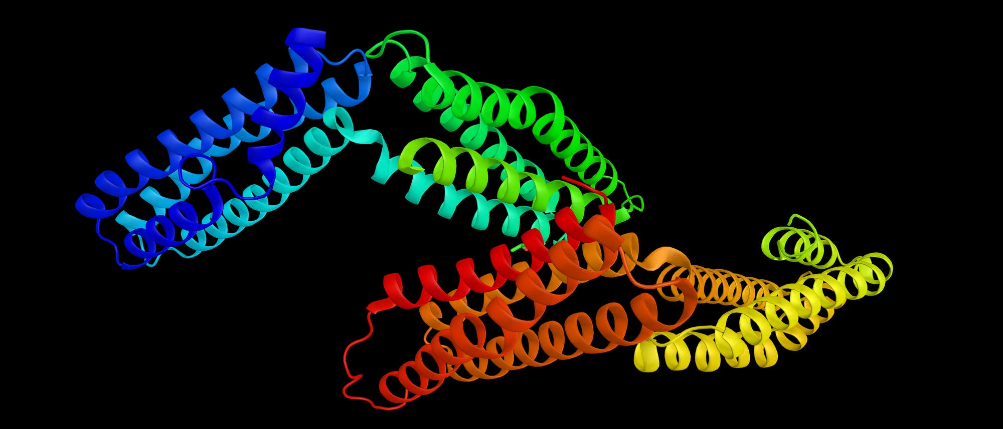 3-D-Modell eines Proteins